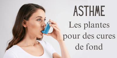 Asthme: les plantes pour des cures de fond